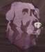 hund_small.jpg